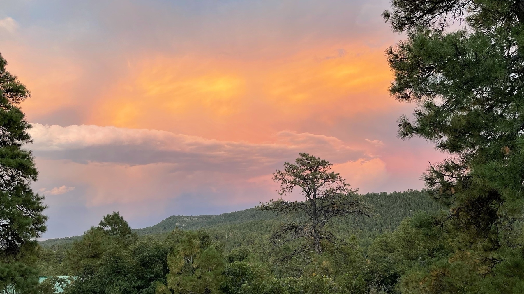 sunset overlooking sloping tree covered mountain side 