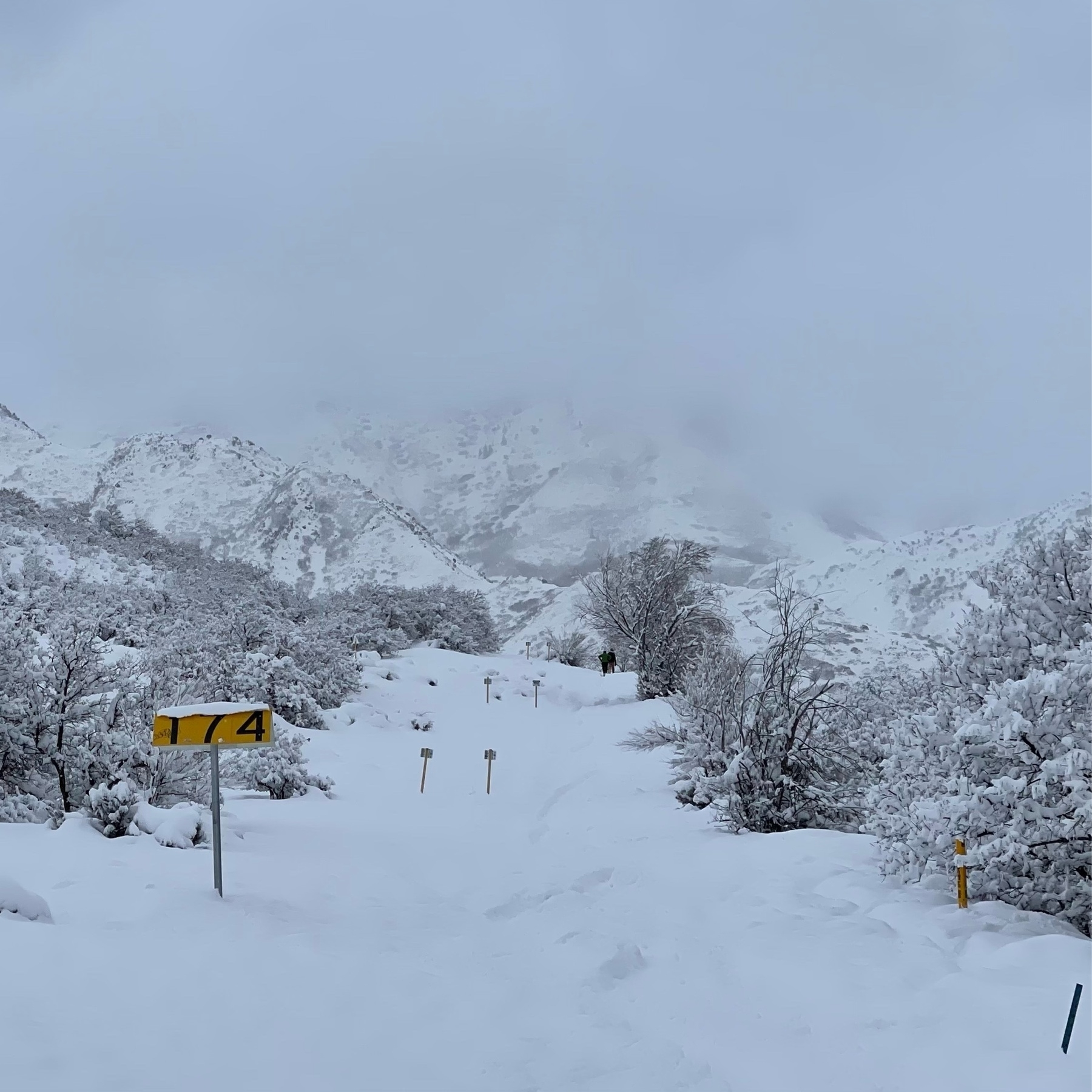 snow covered view bonneville shoreline trail in salt lake city